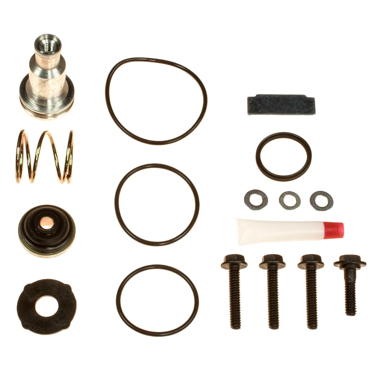 170.107798 - AD9 Type Purge Valve Kit