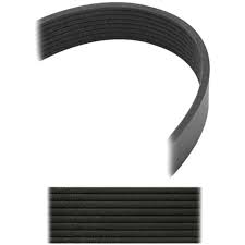 825.5080705 - Dayco Gold Label Poly-V Serpentine Belt - Image 2