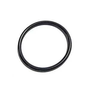 113.1161 - Camshaft Seal