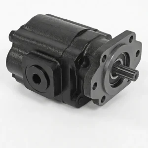 761.BTP51BDS22-25 - Gear Pump Hydraulic Bi-Rotational