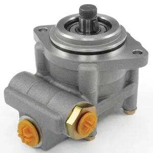 465.ZF.09 - Power Steering Pump