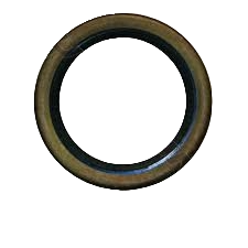 113.2025 - Camshaft Seal