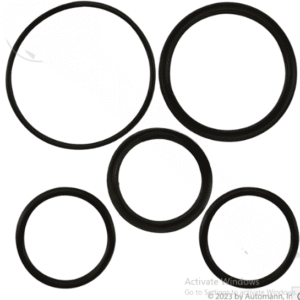 181.SK4814AP - Seal Kit for 174.C3805DMAP