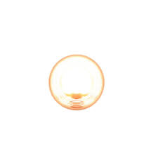 571.LG40W - Back-Up Light 4in